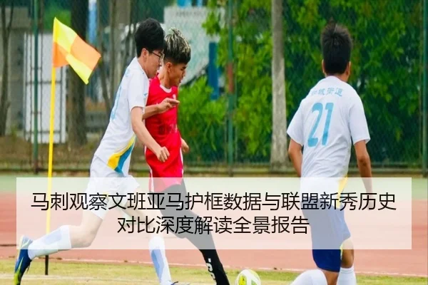 马刺观察文班亚马护框数据与联盟新秀历史对比深度解读全景报告